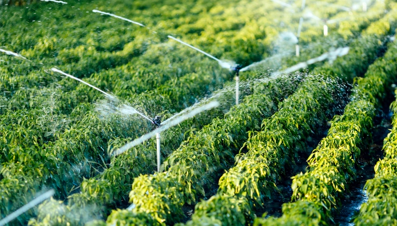 鑫润和节水灌溉科技有限公司